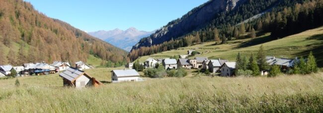 GR5-2016-Voyage-famille-mouette