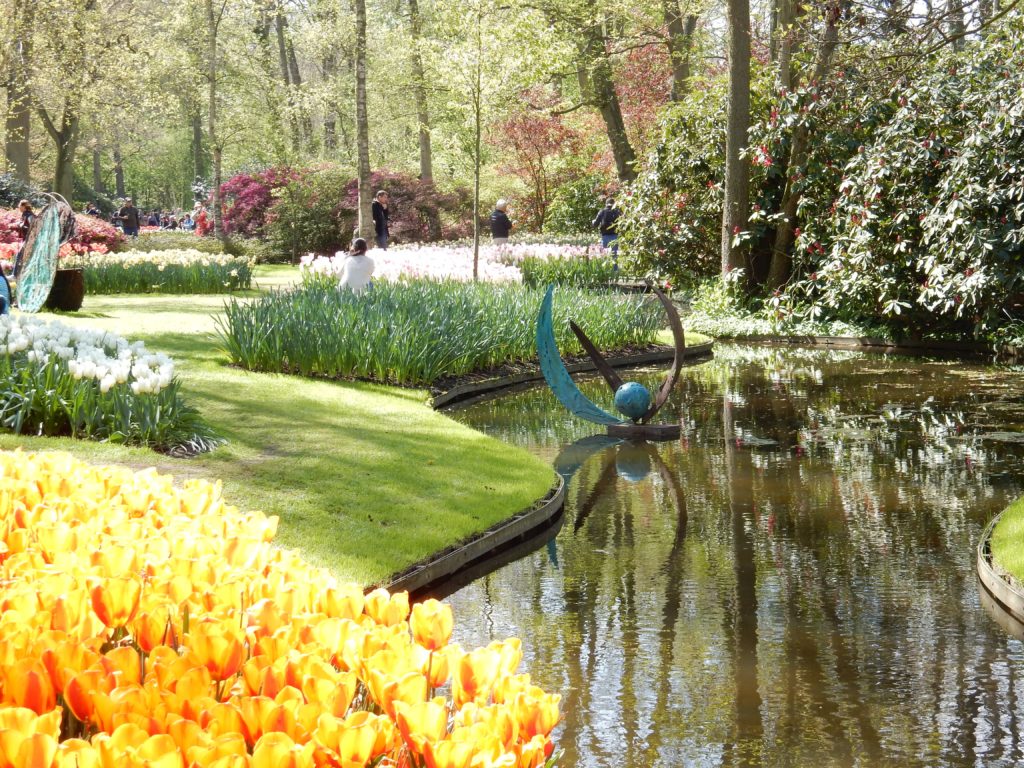 Pour finir ... des tulipes