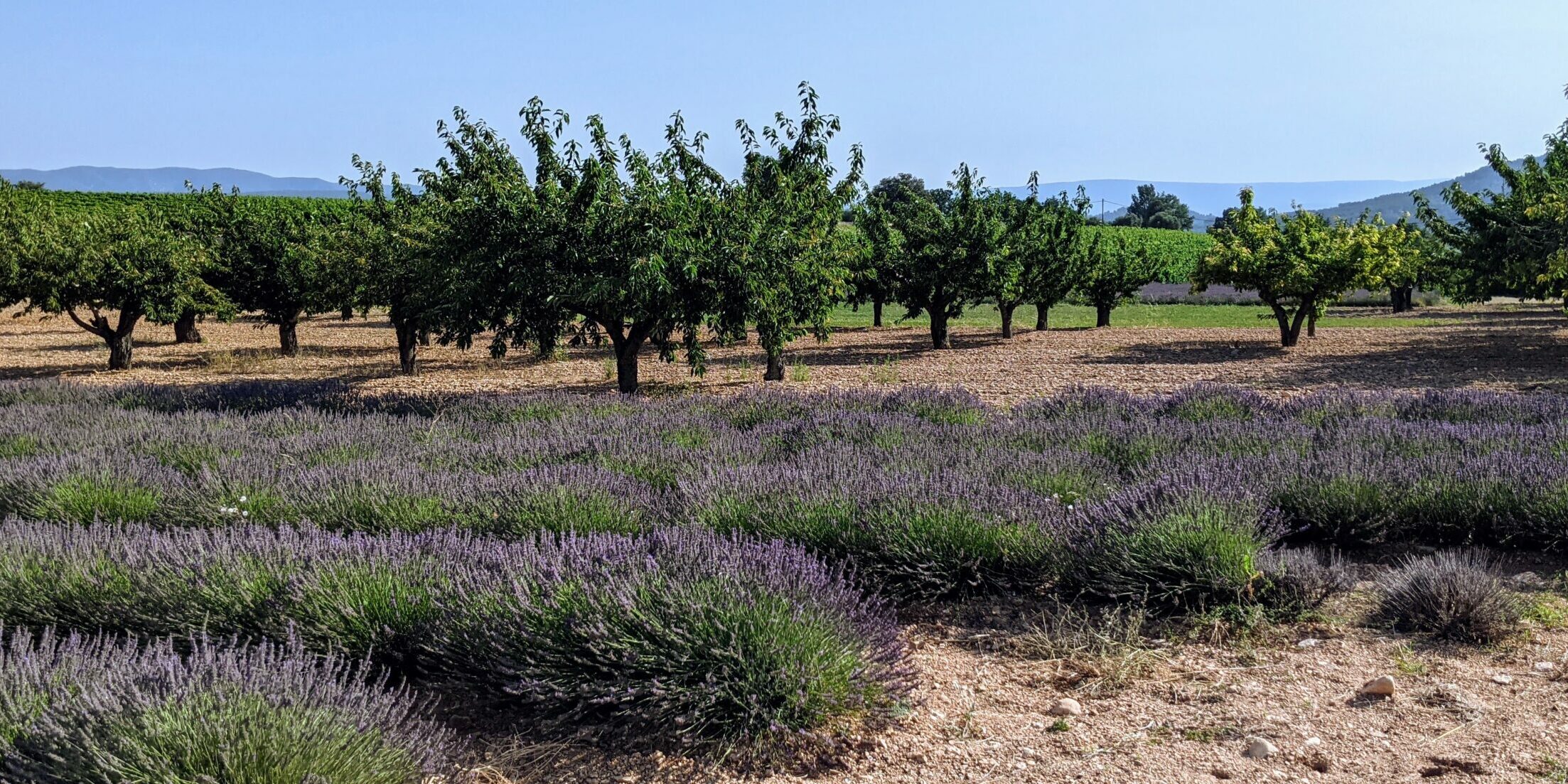 vacances en famille en Provence